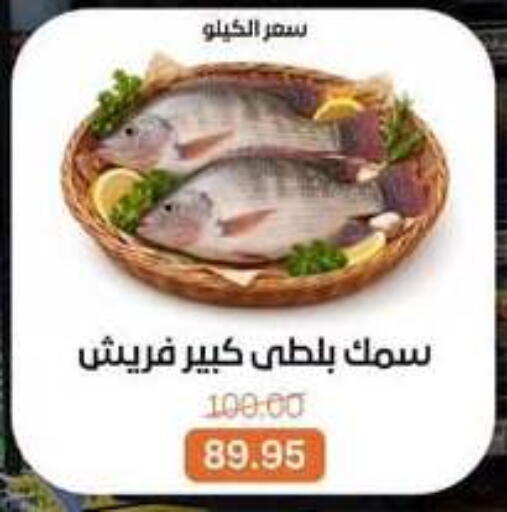 available at Beit El Gomla in Egypt - Cairo