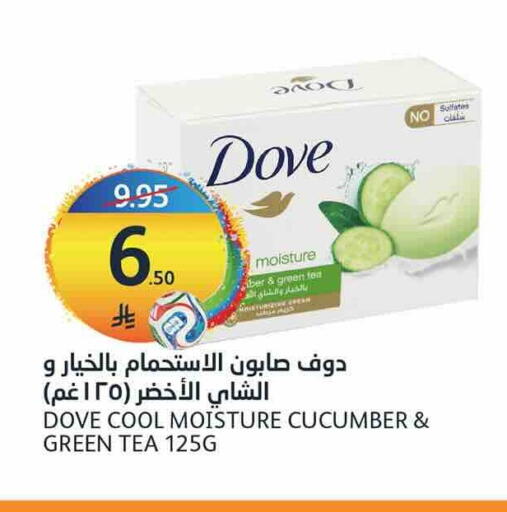 Cucumber available at أسواق الجزيرة in مملكة العربية السعودية, السعودية, سعودية - الرياض