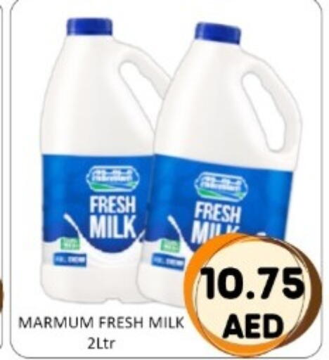 available at GREEN GIFT DEPARTMENT STORE in UAE - Abu Dhabi