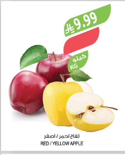 Apple available at Farm  in KSA, Saudi Arabia, Saudi - Dammam