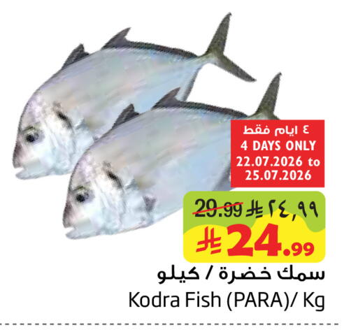available at Layan Hyper in KSA, Saudi Arabia, Saudi - Dammam