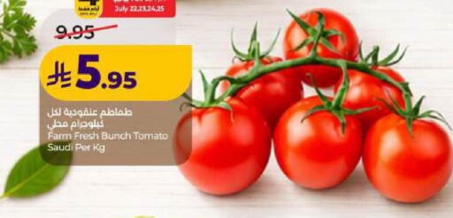 Tomato from Saudi Arabia available at لولو هايبرماركت in مملكة العربية السعودية, السعودية, سعودية - الخبر‎