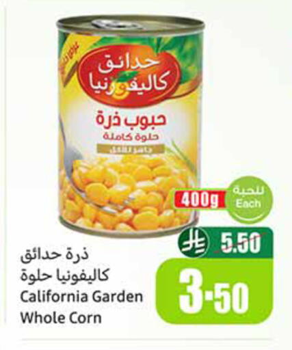 available at Othaim Markets in KSA, Saudi Arabia, Saudi - Dammam