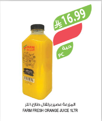 Orange available at Farm  in KSA, Saudi Arabia, Saudi - Al-Kharj