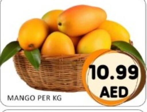 Mango available at GREEN GIFT DEPARTMENT STORE in UAE - Abu Dhabi