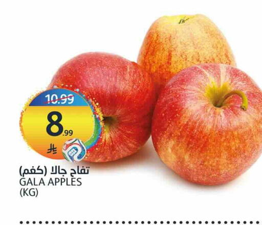 available at أسواق الجزيرة in مملكة العربية السعودية, السعودية, سعودية - الرياض