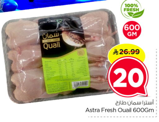 available at Nesto in KSA, Saudi Arabia, Saudi - Al-Kharj