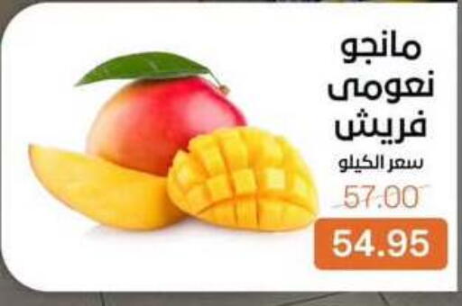 available at Beit El Gomla in Egypt - Cairo