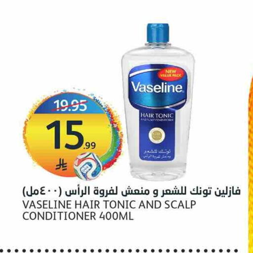available at أسواق الجزيرة in مملكة العربية السعودية, السعودية, سعودية - الرياض