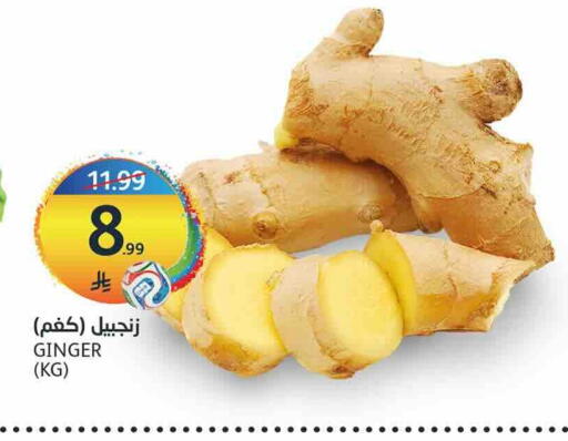 Ginger available at أسواق الجزيرة in مملكة العربية السعودية, السعودية, سعودية - الرياض