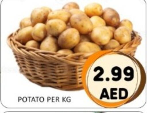 Potato available at GREEN GIFT DEPARTMENT STORE in UAE - Abu Dhabi