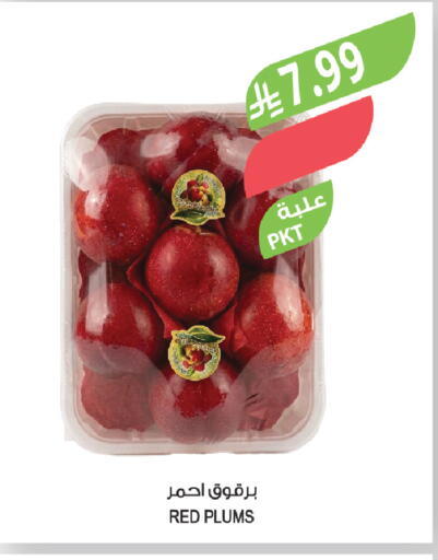 Plums available at Farm  in KSA, Saudi Arabia, Saudi - Al-Kharj