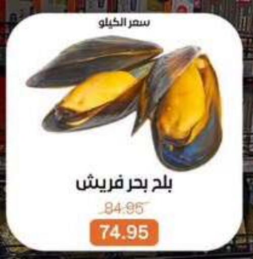 available at Beit El Gomla in Egypt - Cairo