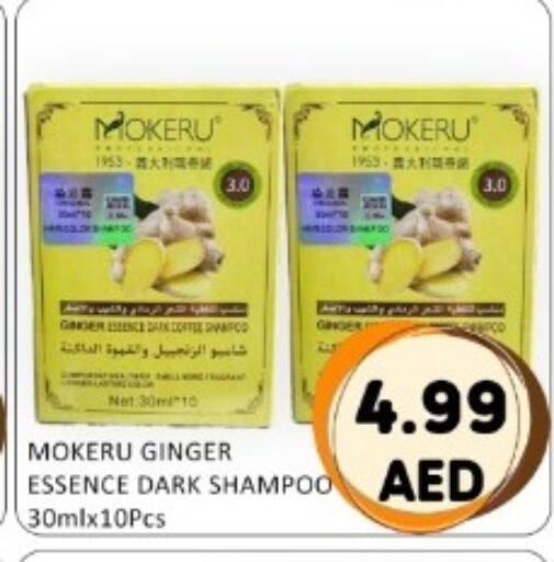 Ginger available at GREEN GIFT DEPARTMENT STORE in UAE - Abu Dhabi