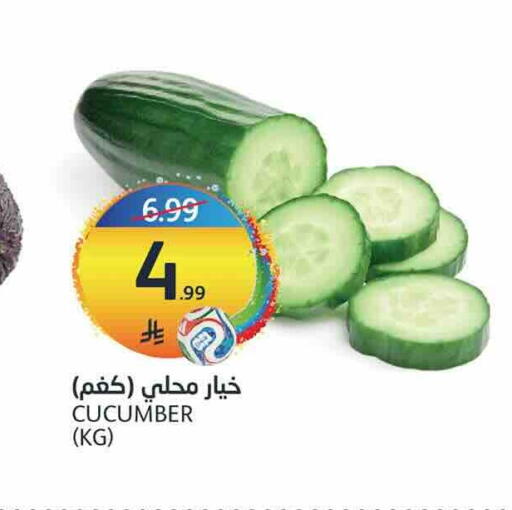 Cucumber available at أسواق الجزيرة in مملكة العربية السعودية, السعودية, سعودية - الرياض