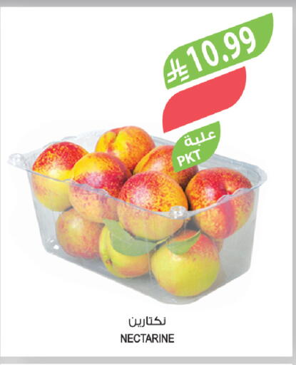 Nectarine available at Farm  in KSA, Saudi Arabia, Saudi - Al-Kharj