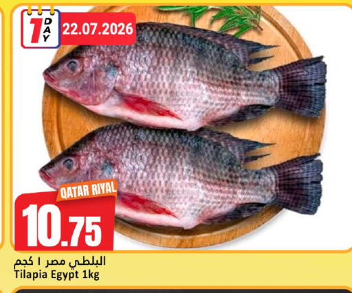 available at دانة هايبرماركت in قطر - الوكرة