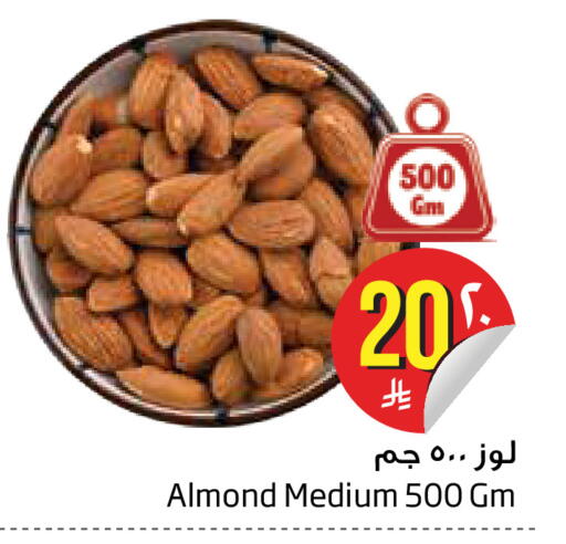 available at Layan Hyper in KSA, Saudi Arabia, Saudi - Dammam