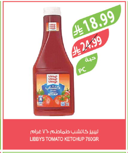 Tomato available at Farm  in KSA, Saudi Arabia, Saudi - Dammam