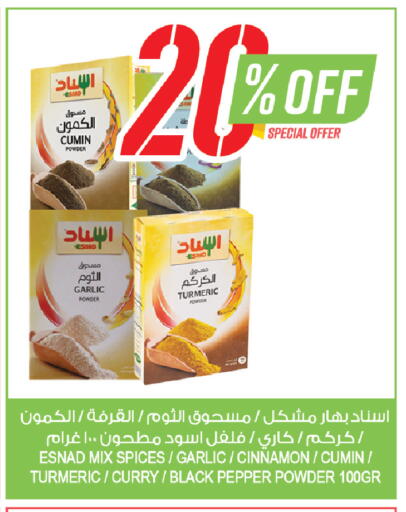 Cumin Garlic Turmeric Cinnamon Pepper available at Farm  in KSA, Saudi Arabia, Saudi - Dammam