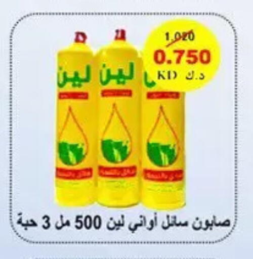 available at Hateen Co-Op Society in Kuwait - Kuwait City