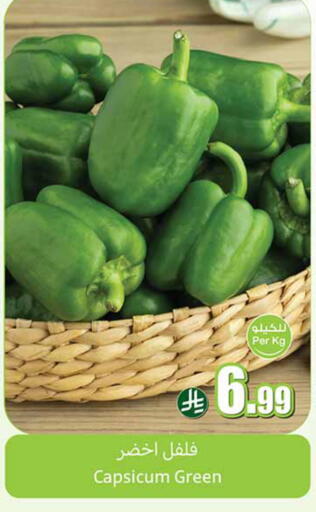 Capsicum available at Othaim Markets in KSA, Saudi Arabia, Saudi - Dammam