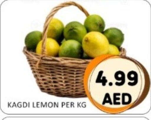 Lemon available at GREEN GIFT DEPARTMENT STORE in UAE - Abu Dhabi