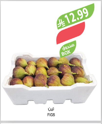 available at Farm  in KSA, Saudi Arabia, Saudi - Al-Kharj