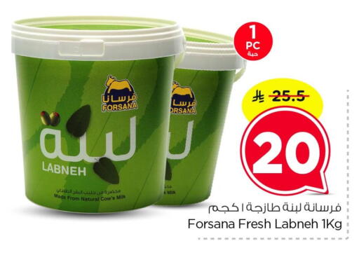available at نستو in مملكة العربية السعودية, السعودية, سعودية - المنطقة الشرقية