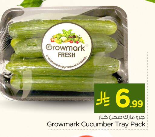 Cucumber available at Nesto in KSA, Saudi Arabia, Saudi - Dammam