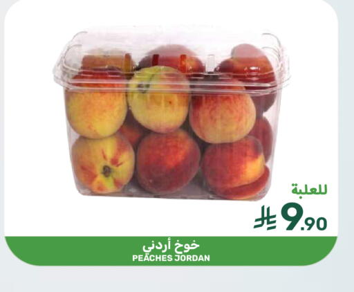 from Jordan available at Mazaya in KSA, Saudi Arabia, Saudi - Dammam