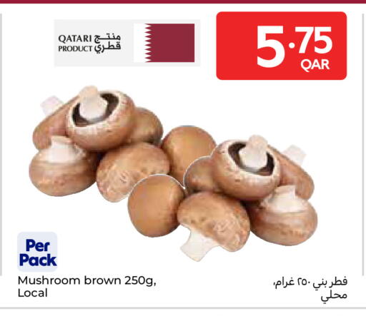 Mushroom from Qatar available at Carrefour in Qatar - Doha
