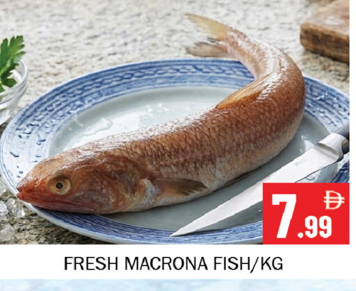 available at سوق المبارك هايبرماركت in الإمارات العربية المتحدة , الامارات - الشارقة / عجمان