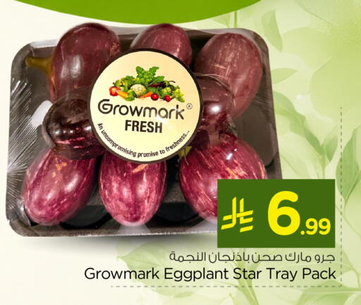 Eggplant available at نستو in مملكة العربية السعودية, السعودية, سعودية - المنطقة الشرقية