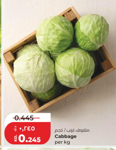 Cabbage available at Lulu Hypermarket  in Kuwait - Kuwait City