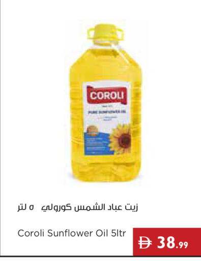 available at إسطنبول سوبرماركت in الإمارات العربية المتحدة , الامارات - ٱلْعَيْن‎