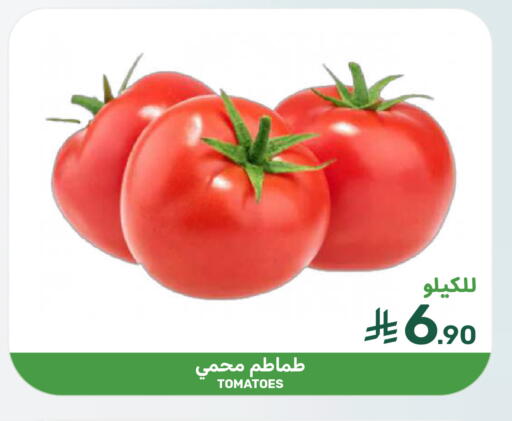 Tomato available at Mazaya in KSA, Saudi Arabia, Saudi - Dammam