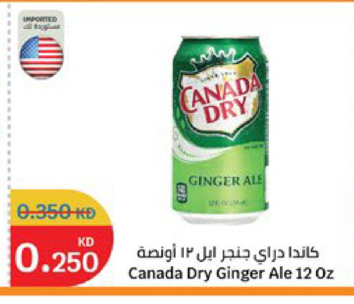 Ginger available at City Hypermarket in Kuwait - Kuwait City