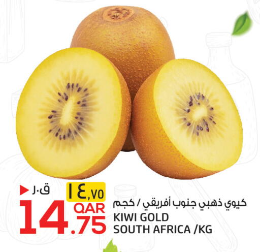 Kiwi from South Africa available at Saudia Hypermarket in Qatar - Doha