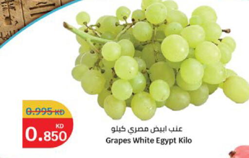 Grapes from Egypt available at سيتي هايبرماركت in الكويت - مدينة الكويت