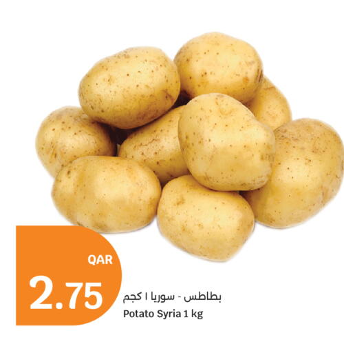 Potato from Syria available at City Hypermarket in Qatar - Al Rayyan