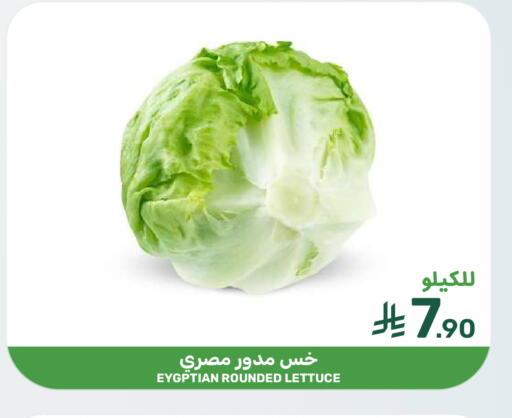 Lettuce available at Mazaya in KSA, Saudi Arabia, Saudi - Dammam