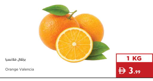 Orange available at إسطنبول سوبرماركت in الإمارات العربية المتحدة , الامارات - ٱلْعَيْن‎