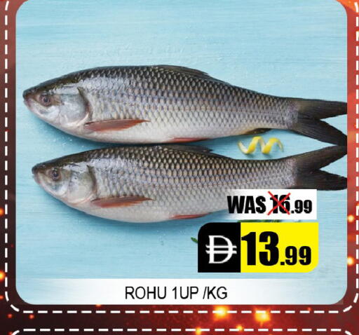 available at ليبتس هايبرماركت in الإمارات العربية المتحدة , الامارات - ٱلْعَيْن‎