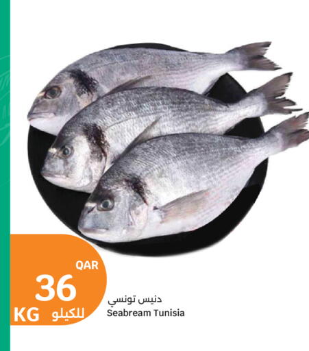 available at City Hypermarket in Qatar - Al Rayyan