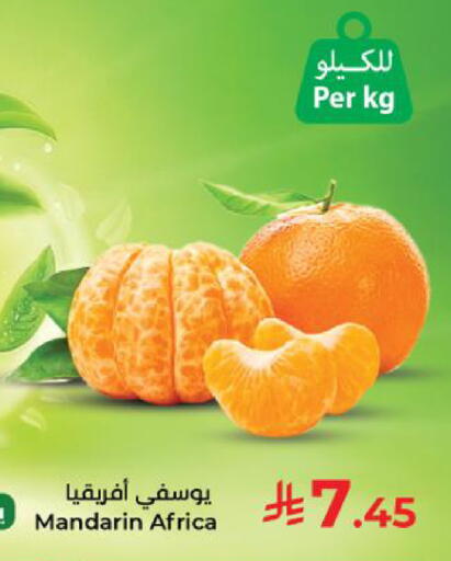Mandarin available at كبايان هايبرماركت in مملكة العربية السعودية, السعودية, سعودية - ينبع