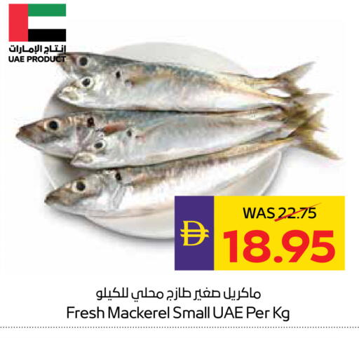 available at أدكووب in الإمارات العربية المتحدة , الامارات - ٱلْعَيْن‎
