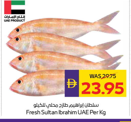 available at أدكووب in الإمارات العربية المتحدة , الامارات - ٱلْعَيْن‎