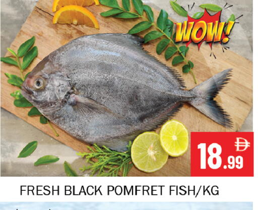 available at سوق المبارك هايبرماركت in الإمارات العربية المتحدة , الامارات - الشارقة / عجمان
