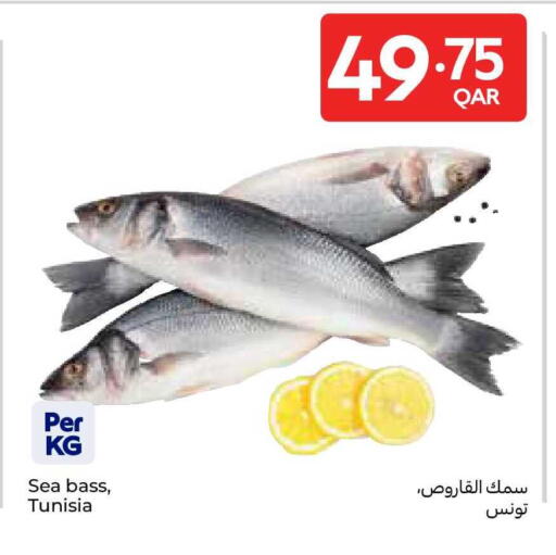 available at Carrefour in Qatar - Al-Shahaniya